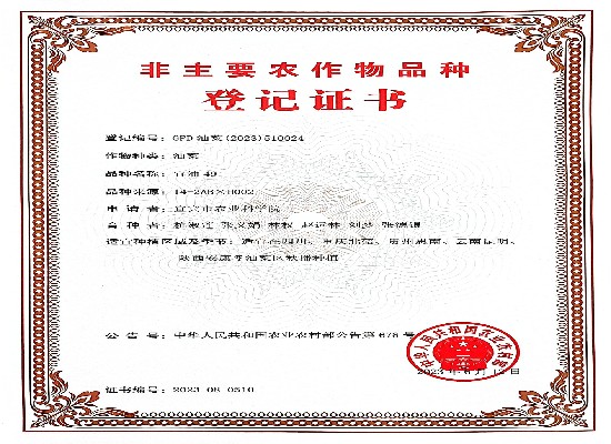 图片1_副本.jpg