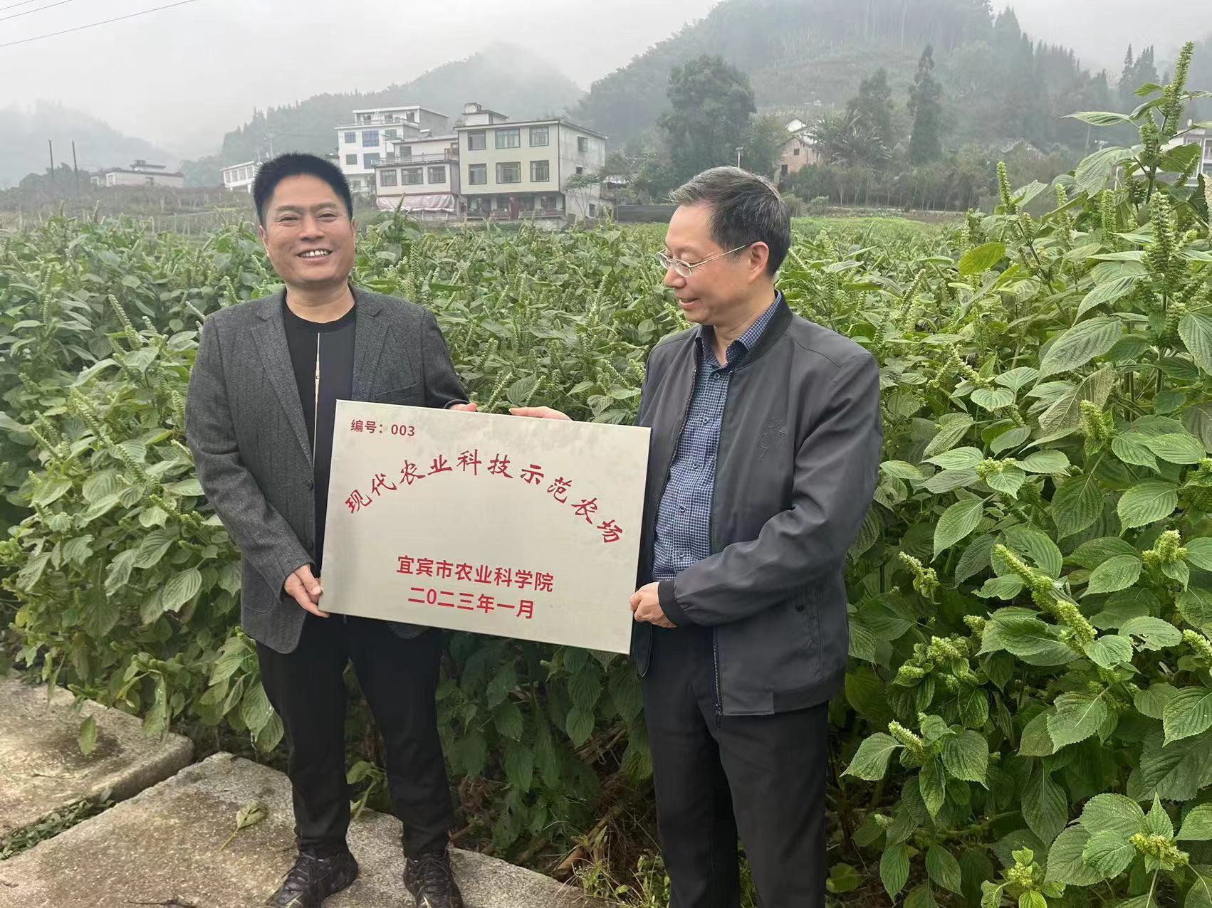 图片5.jpg
