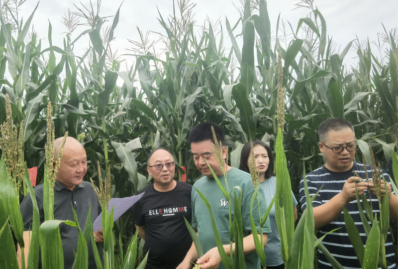 图片2_副本.jpg