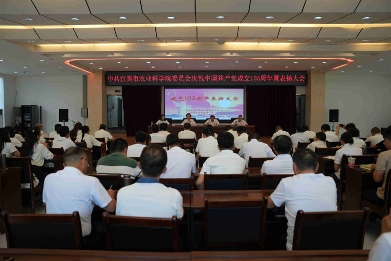 庆祝建党103周年暨表扬大会_副本.jpg