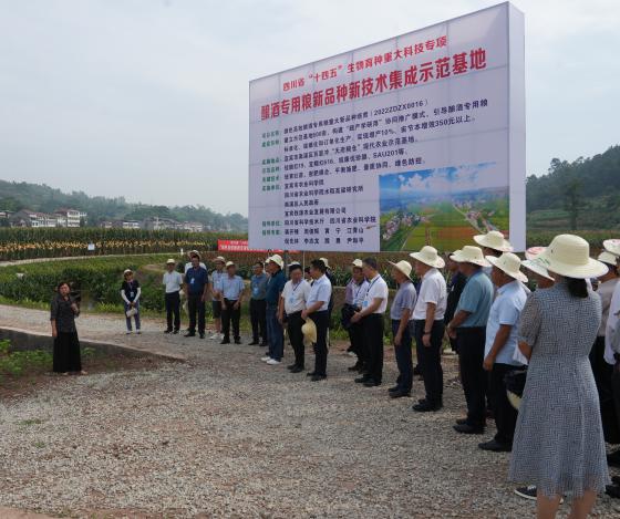 图片6.jpg