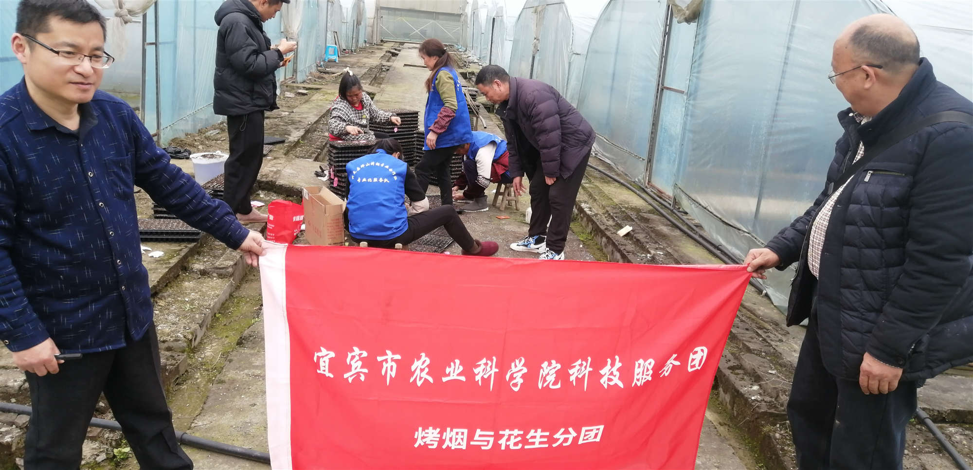 图片1_副本.jpg