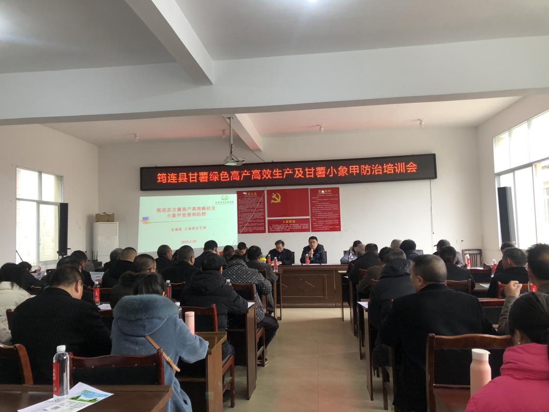 图片1.jpg