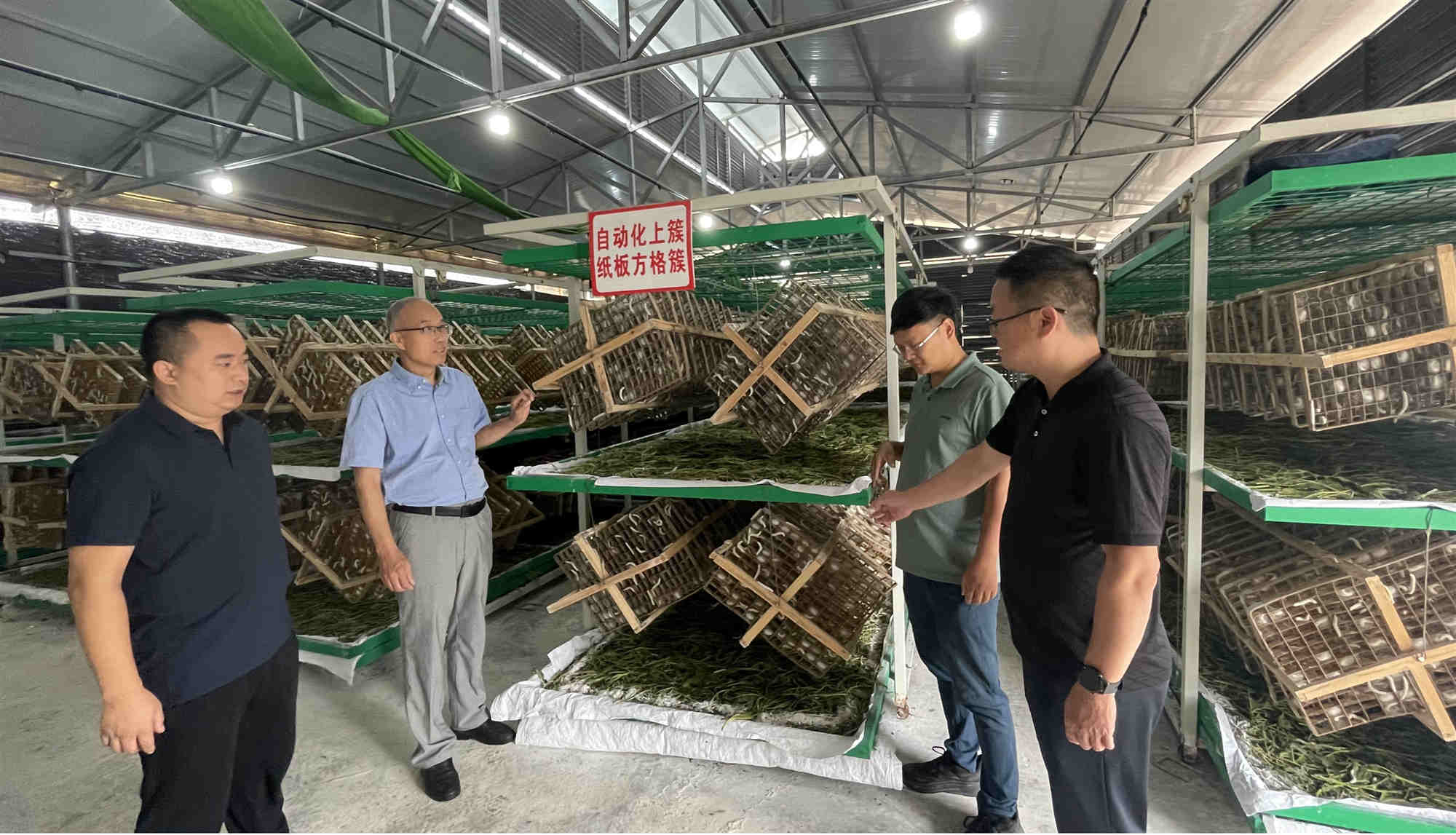 图片1_副本.jpg 图片1_副本.jpg