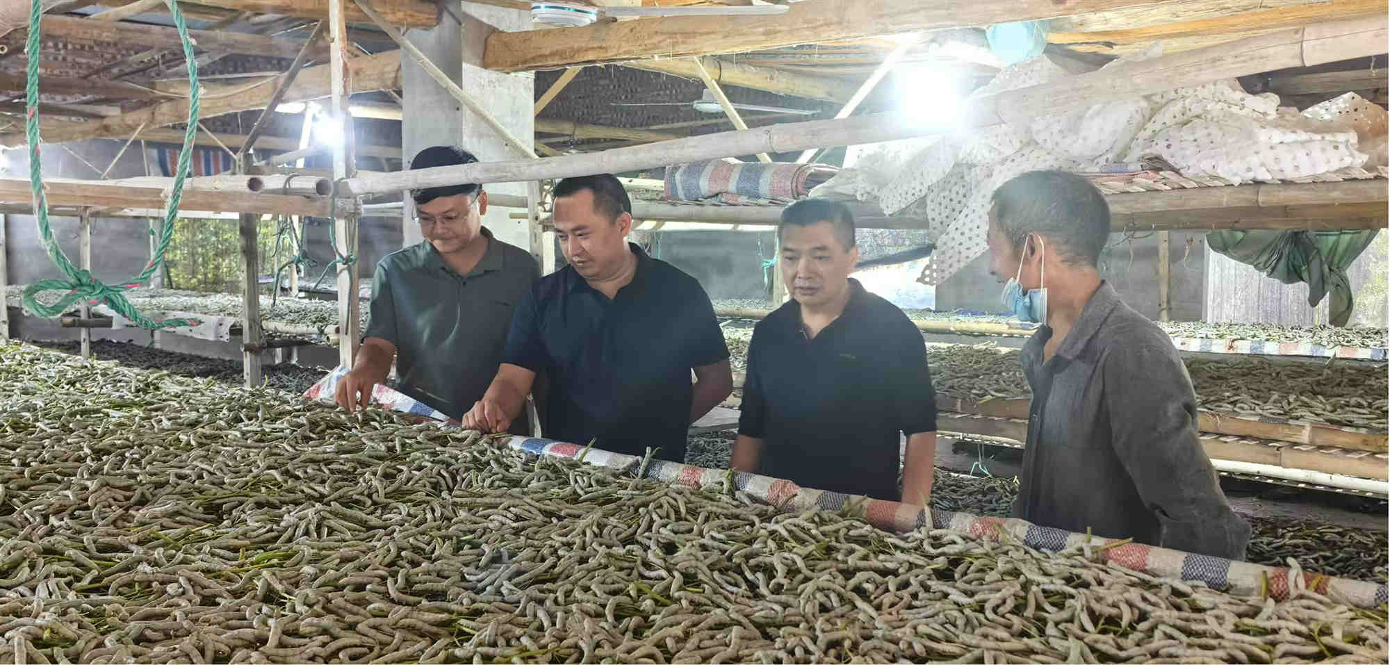 图片2_副本.jpg 图片2_副本.jpg