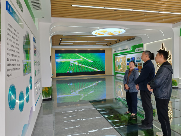 微信图片_20251031100757_副本.jpg 微信图片_20251031100757_副本.jpg