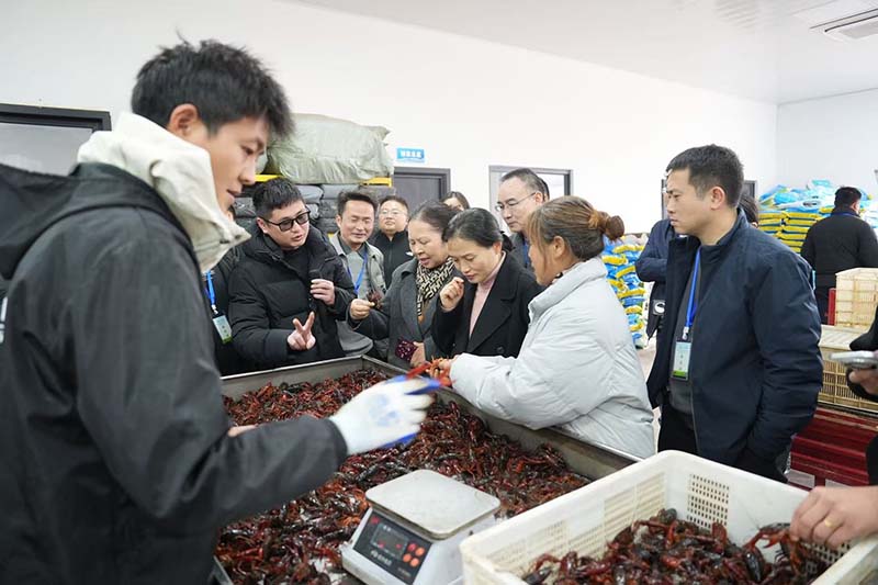 图片1.jpg 图片1.jpg