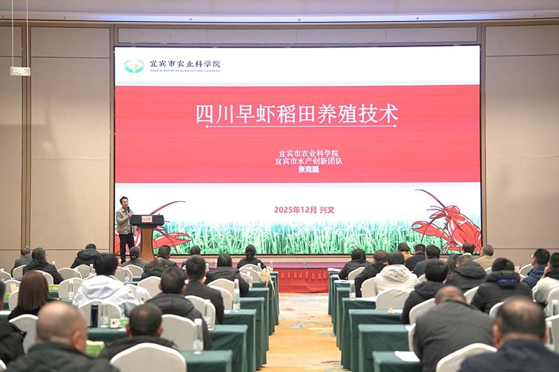 图片3.jpg 图片3.jpg