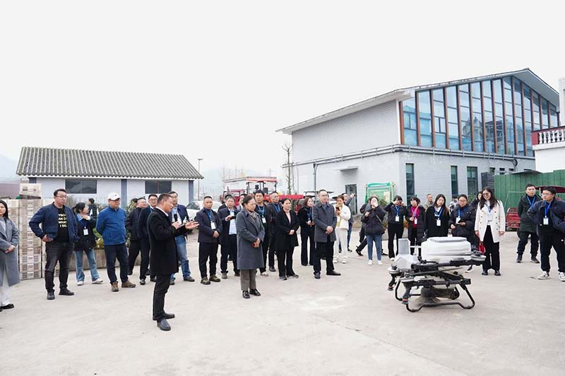 图片4.jpg 图片4.jpg