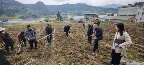 图片6_副本.jpg 图片6_副本.jpg