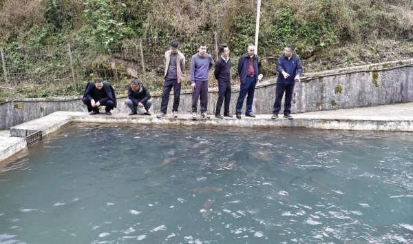 图片8_副本.jpg 图片8_副本.jpg