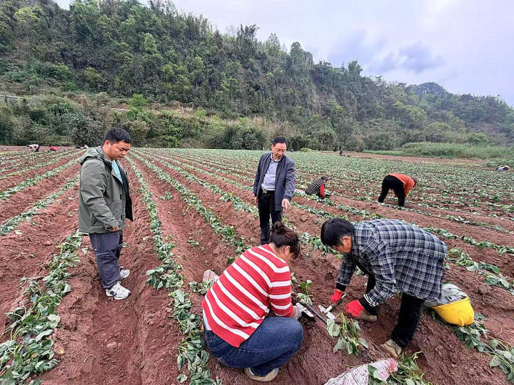 图片1_副本.jpg 图片1_副本.jpg