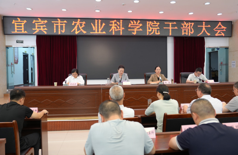 微信图片_20260526175255_副本.jpg 微信图片_20260526175255_副本.jpg