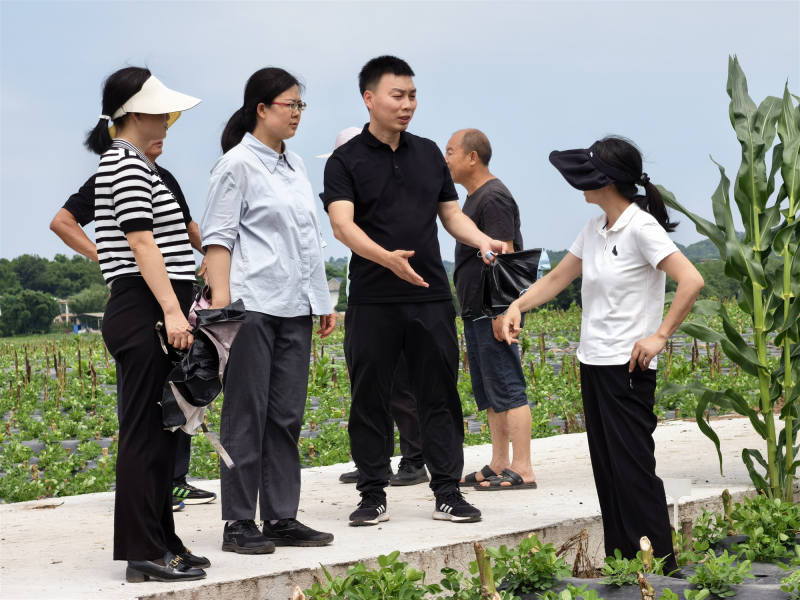 图片3_副本.jpg 图片3_副本.jpg